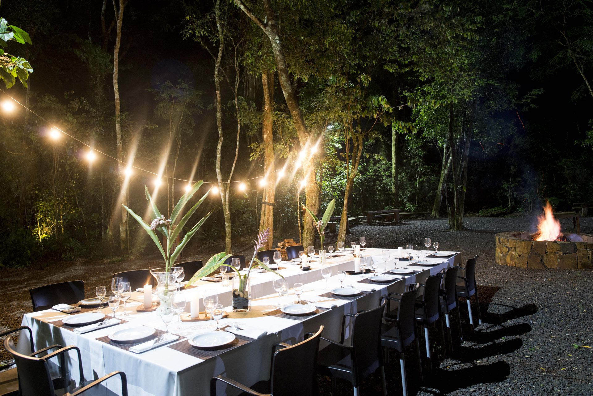 Iryapú Forest from the hotel