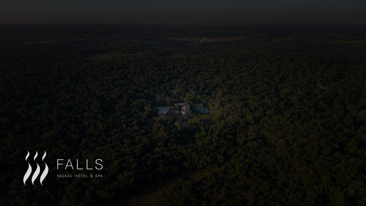 Tour aéreo Falls Iguazú Hotel & Spa